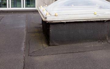 disadvantages of Cwm Miles flat roofs