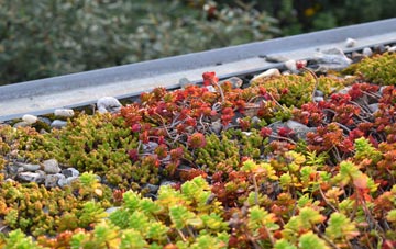 the cost of Cwm Miles green roof installation