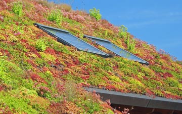 Cwm Miles living roof systems