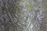 Cwm Miles fibreglass roof work